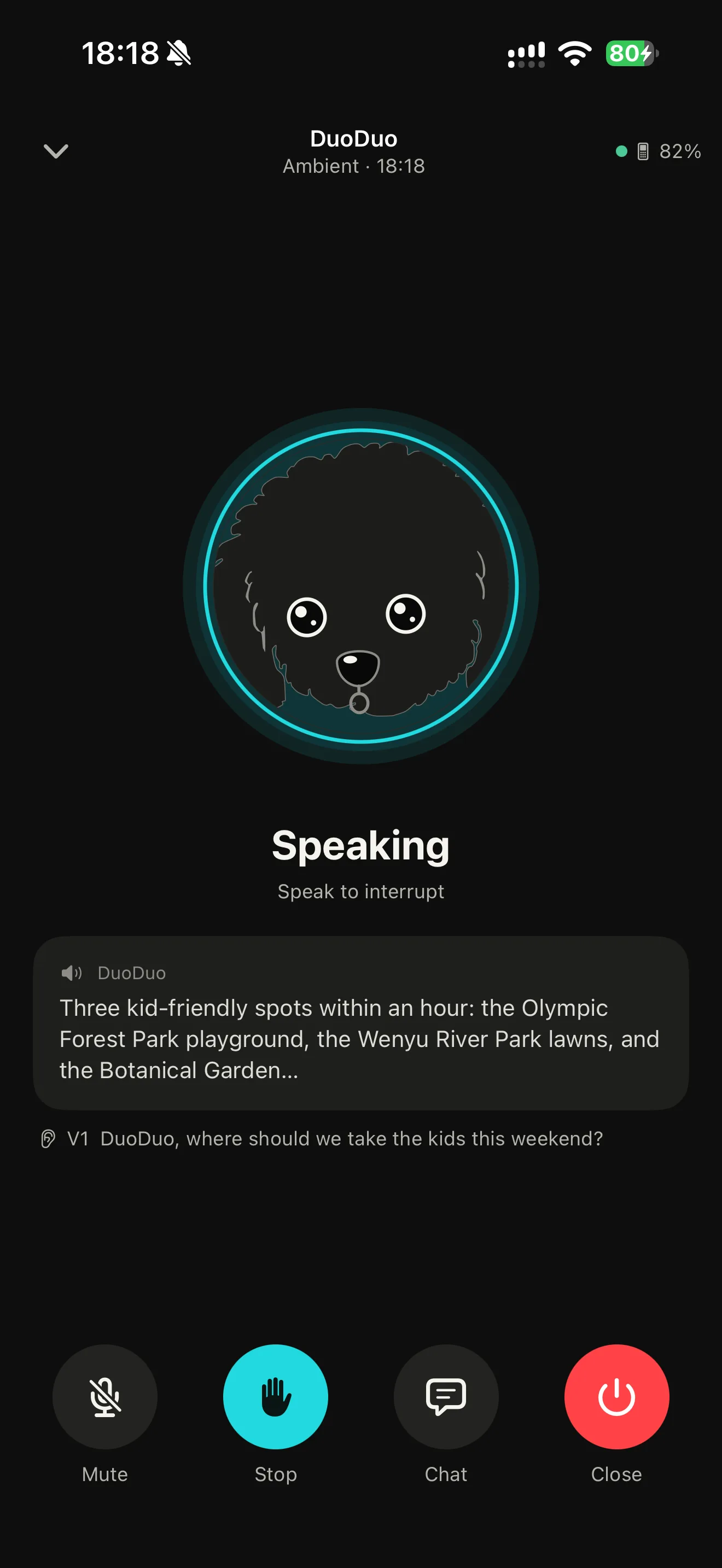 DuoDuo Pocket app screen: Ambient mode