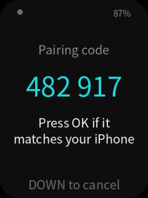 Passport screen: Pairing code